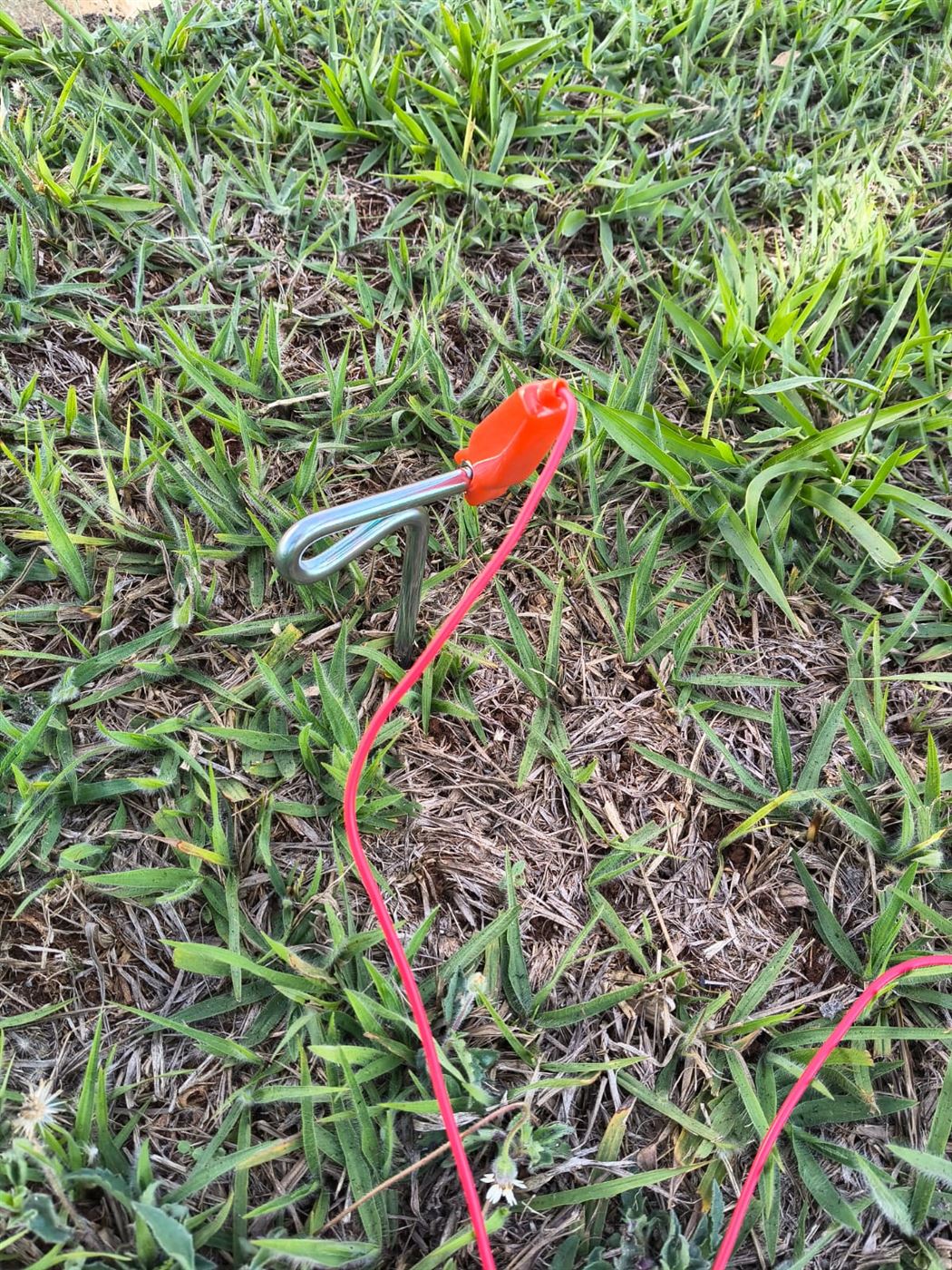 Haste auxiliar de ensaio cravada na grama, com o cabo de corrente vermelho conectado